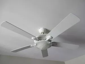 White ceiling fan on white ceiling in Raleigh, NC, home.